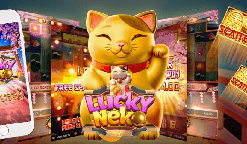 Mengapa Lucky Neko Menjadi Pilihan Utama Para Pencinta Slot Online